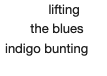 A screenshot of the haiku that reads lifting / the blues / indigo bunting