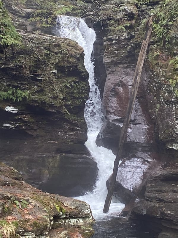 Water, Water Everywhere